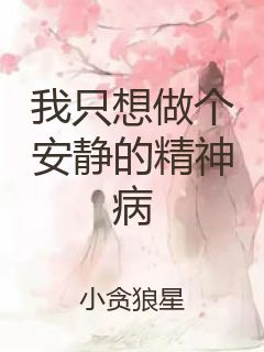 我只想做个安静的精神病封面