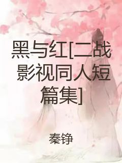 黑与红[二战 影视同人短篇集]封面