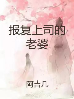 报复上司的老婆封面