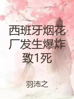 西班牙烟花厂发生爆炸致1死封面