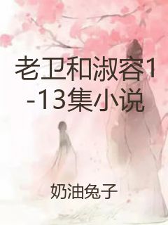老卫和淑容1-13集小说封面