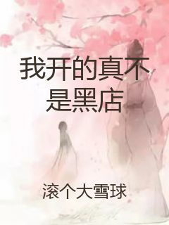 我开的真不是黑店封面