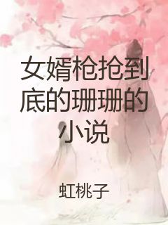 女婿枪抢到底的珊珊的小说封面