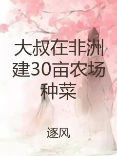 大叔在非洲建30亩农场种菜封面