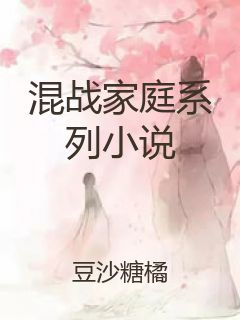 混战家庭系列小说封面