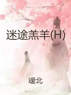 迷途羔羊(H)封面