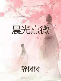 晨光熹微封面