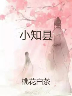 小知县封面