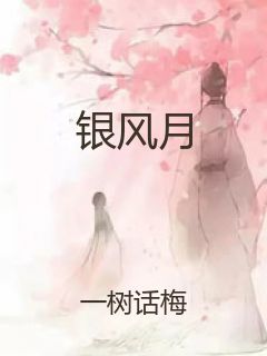 银风月封面