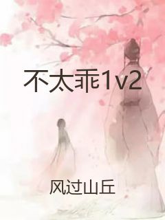不太乖1v2封面