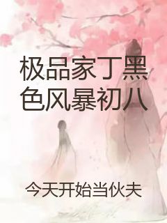 极品家丁黑色风暴初八封面