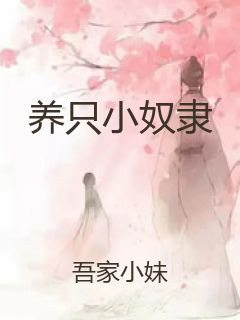 养只小奴隶封面