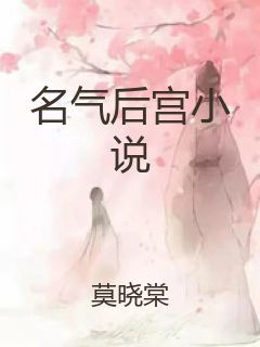 名气后宫小说封面