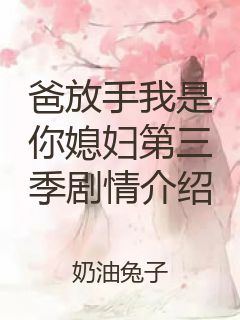 爸放手我是你媳妇第三季剧情介绍封面