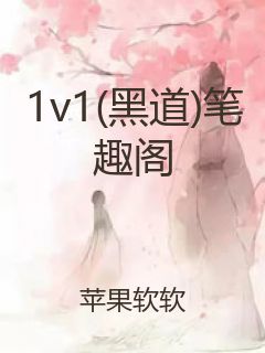 1v1(黑道)笔趣阁封面