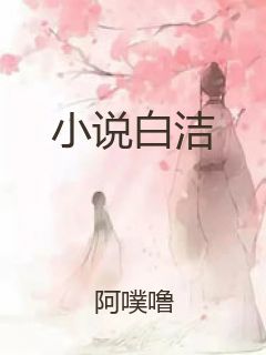 小说白洁封面
