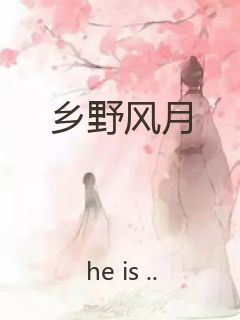 乡野风月封面