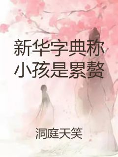 新华字典称小孩是累赘封面