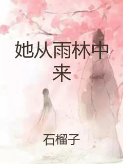 她从雨林中来封面