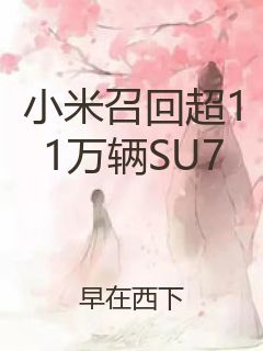 小米召回超11万辆SU7封面