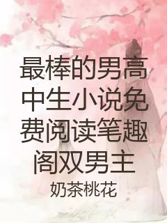 最棒的男高中生小说免费阅读笔趣阁双男主封面