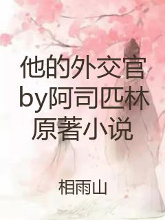 他的外交官by阿司匹林原著小说封面