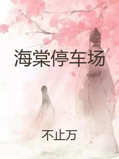 海棠停车场封面