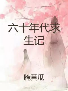 六十年代求生记封面