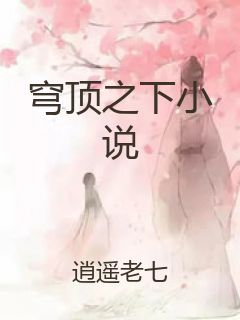 穹顶之下小说封面