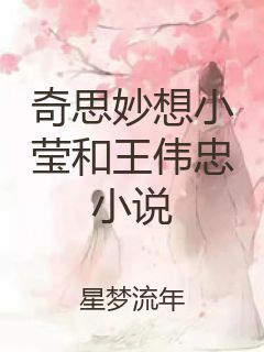 奇思妙想小莹和王伟忠小说封面