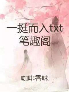 一挺而入txt笔趣阁封面