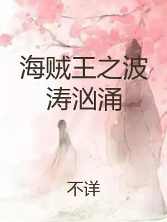 海贼王之波涛汹涌封面