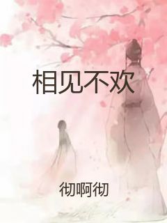 相见不欢封面