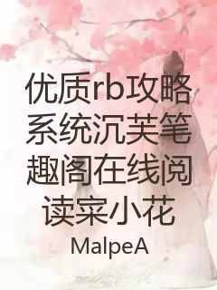 优质rb攻略系统沉芙笔趣阁在线阅读寀小花封面