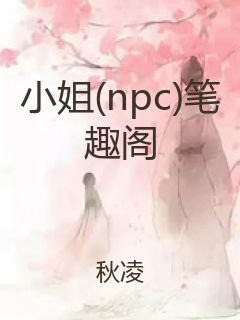 小姐(npc)笔趣阁封面