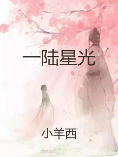 一陆星光封面