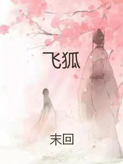 飞狐封面